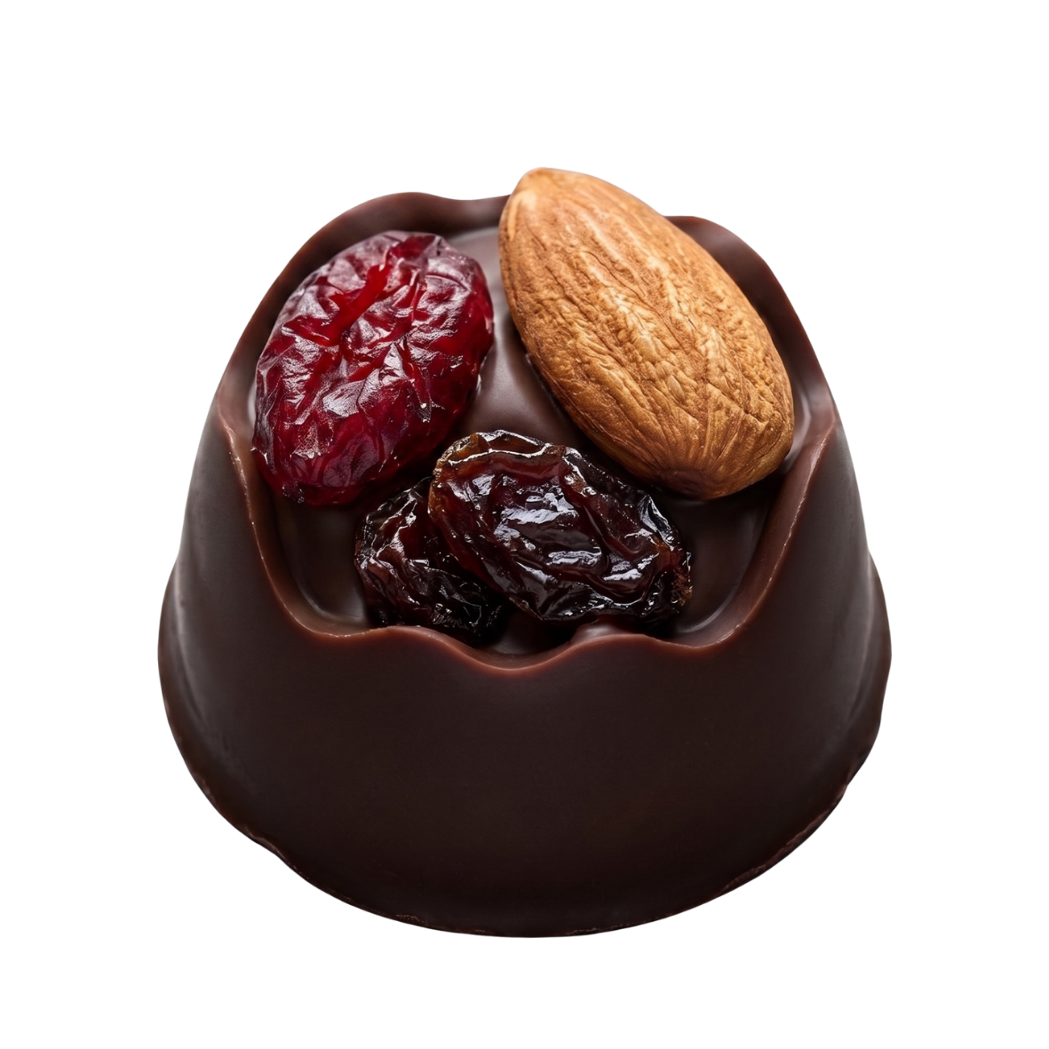Cokelat berbentuk kotak dengan kismis, cranberry, almond, dan kenari